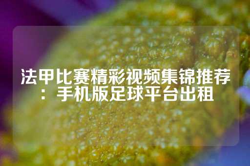 法甲比赛精彩视频集锦推荐：手机版足球平台出租