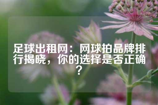 足球出租网：网球拍品牌排行揭晓，你的选择是否正确？-第1张图片-皇冠信用盘出租