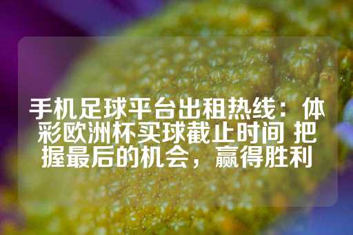 手机足球平台出租热线：体彩欧洲杯买球截止时间 把握最后的机会，赢得胜利-第1张图片-皇冠信用盘出租