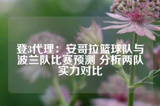 登3代理：安哥拉篮球队与波兰队比赛预测 分析两队实力对比