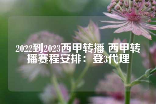 2022到2023西甲转播 西甲转播赛程安排：登3代理-第1张图片-皇冠信用盘出租