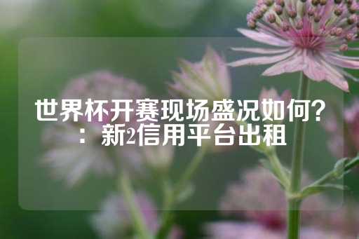 世界杯开赛现场盛况如何？：新2信用平台出租