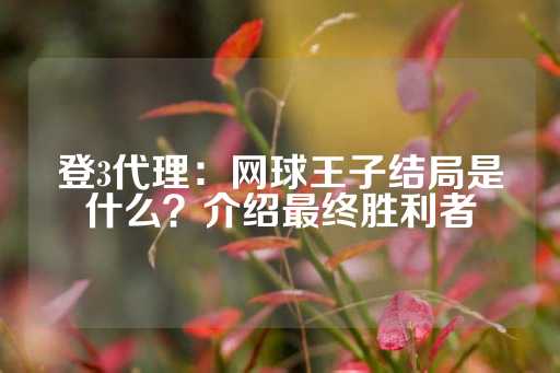 登3代理：网球王子结局是什么？介绍最终胜利者