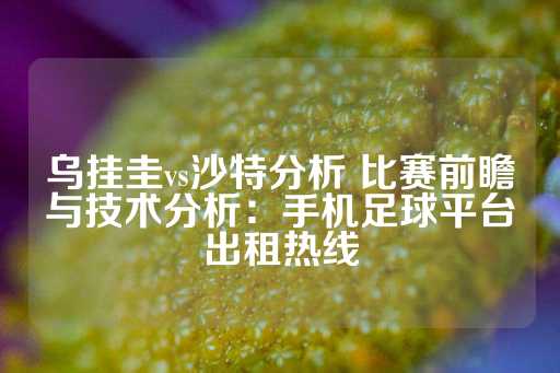 乌挂圭vs沙特分析 比赛前瞻与技术分析：手机足球平台出租热线