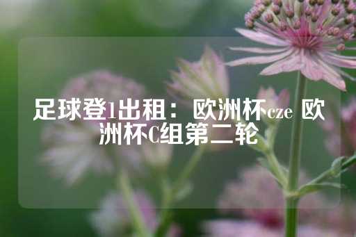 足球登1出租：欧洲杯cze 欧洲杯C组第二轮-第1张图片-皇冠信用盘出租