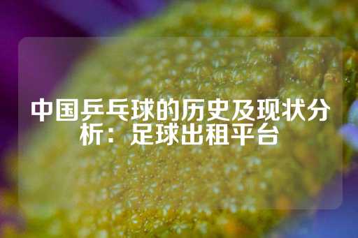 中国乒乓球的历史及现状分析：足球出租平台