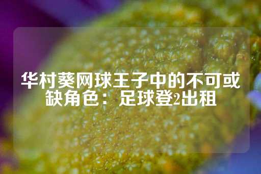 华村葵网球王子中的不可或缺角色：足球登2出租