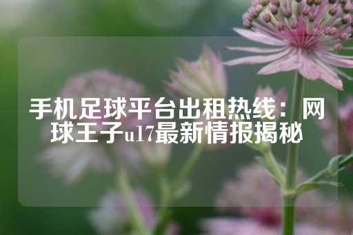 手机足球平台出租热线：网球王子u17最新情报揭秘