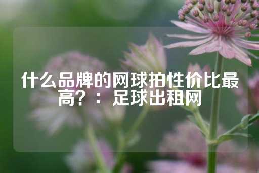 什么品牌的网球拍性价比最高？：足球出租网