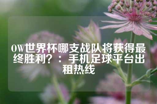 OW世界杯哪支战队将获得最终胜利？：手机足球平台出租热线