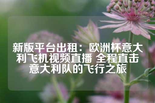 新版平台出租：欧洲杯意大利飞机视频直播 全程直击意大利队的飞行之旅-第1张图片-皇冠信用盘出租