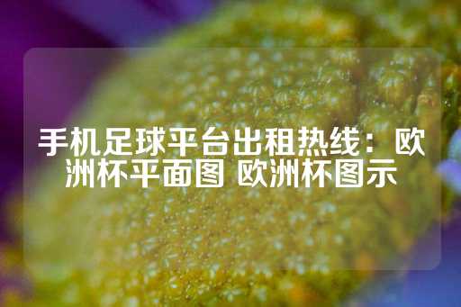 手机足球平台出租热线：欧洲杯平面图 欧洲杯图示-第1张图片-皇冠信用盘出租