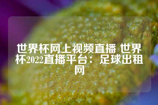 世界杯网上视频直播 世界杯2022直播平台：足球出租网