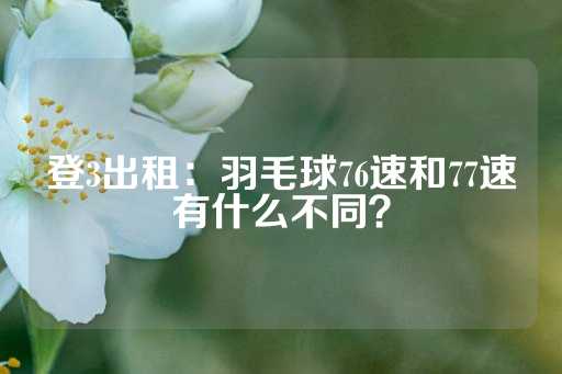 登3出租：羽毛球76速和77速有什么不同？