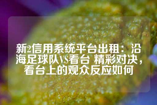 新2信用系统平台出租：沿海足球队VS看台 精彩对决，看台上的观众反应如何-第1张图片-皇冠信用盘出租