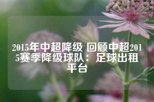 2015年中超降级 回顾中超2015赛季降级球队：足球出租平台-第1张图片-皇冠信用盘出租