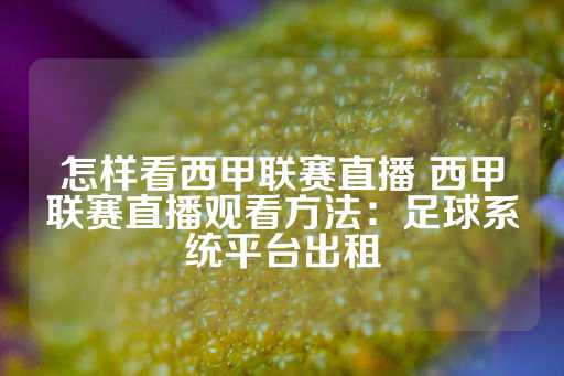 怎样看西甲联赛直播 西甲联赛直播观看方法：足球系统平台出租