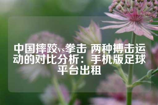 中国摔跤vs拳击 两种搏击运动的对比分析：手机版足球平台出租