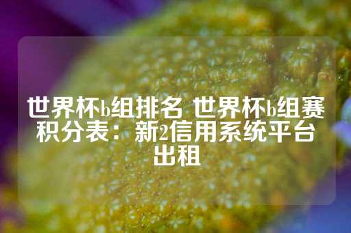 世界杯b组排名 世界杯b组赛积分表：新2信用系统平台出租