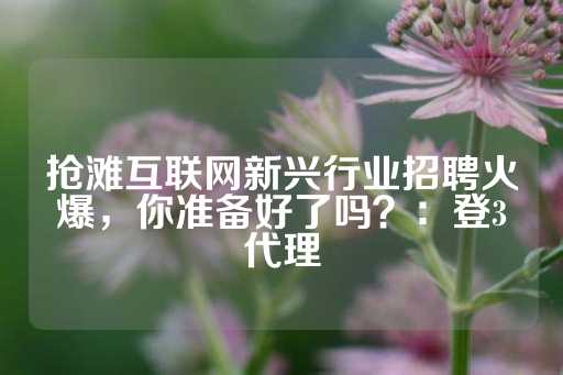 抢滩互联网新兴行业招聘火爆，你准备好了吗？：登3代理