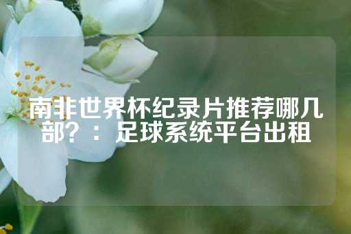 南非世界杯纪录片推荐哪几部？：足球系统平台出租