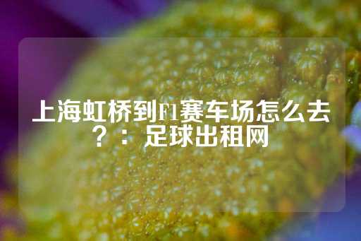 上海虹桥到F1赛车场怎么去？：足球出租网-第1张图片-皇冠信用盘出租