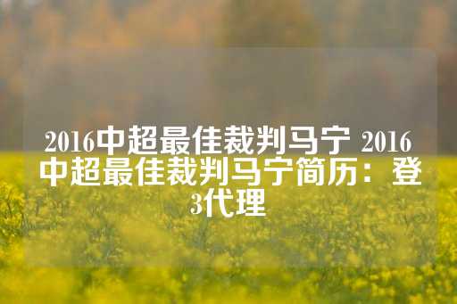 2016中超最佳裁判马宁 2016中超最佳裁判马宁简历：登3代理-第1张图片-皇冠信用盘出租