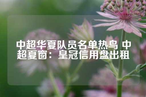 中超华夏队员名单热鸟 中超夏窗：皇冠信用盘出租