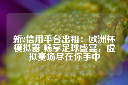 新2信用平台出租：欧洲杯模拟器 畅享足球盛宴，虚拟赛场尽在你手中