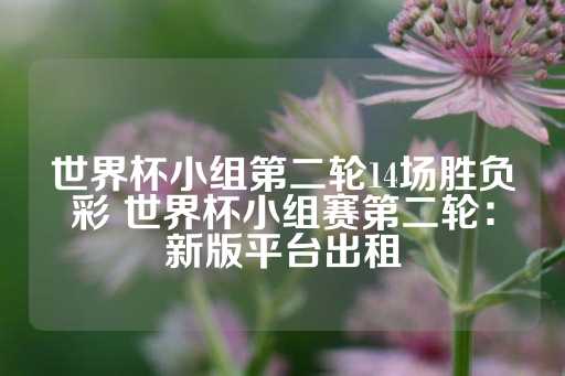 世界杯小组第二轮14场胜负彩 世界杯小组赛第二轮：新版平台出租