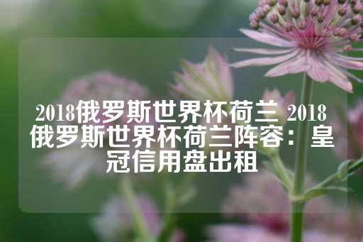 2018俄罗斯世界杯荷兰 2018俄罗斯世界杯荷兰阵容：皇冠信用盘出租-第1张图片-皇冠信用盘出租