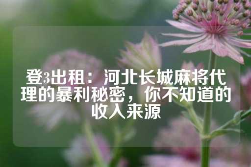 登3出租：河北长城麻将代理的暴利秘密，你不知道的收入来源