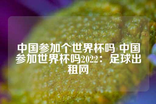 中国参加个世界杯吗 中国参加世界杯吗2022：足球出租网