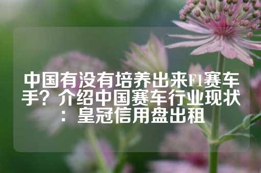 中国有没有培养出来F1赛车手？介绍中国赛车行业现状：皇冠信用盘出租-第1张图片-皇冠信用盘出租