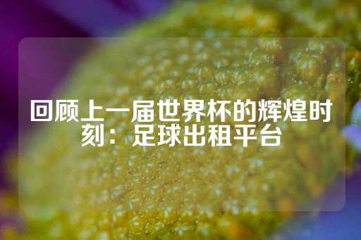 回顾上一届世界杯的辉煌时刻：足球出租平台-第1张图片-皇冠信用盘出租