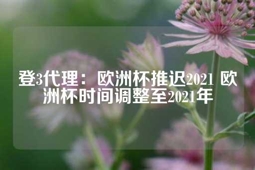 登3代理：欧洲杯推迟2021 欧洲杯时间调整至2021年-第1张图片-皇冠信用盘出租