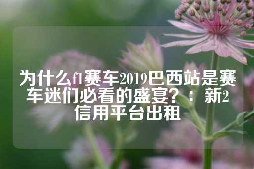 为什么f1赛车2019巴西站是赛车迷们必看的盛宴？：新2信用平台出租-第1张图片-皇冠信用盘出租