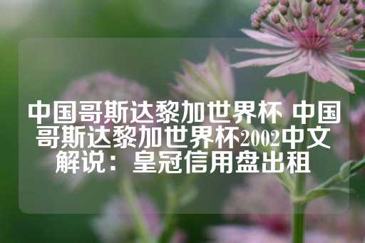 中国哥斯达黎加世界杯 中国哥斯达黎加世界杯2002中文解说：皇冠信用盘出租