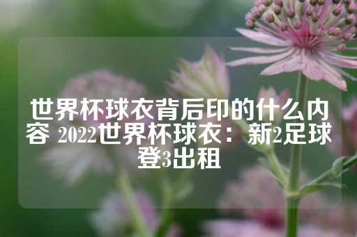 世界杯球衣背后印的什么内容 2022世界杯球衣：新2足球登3出租