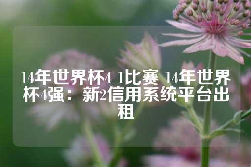 14年世界杯4 1比赛 14年世界杯4强：新2信用系统平台出租