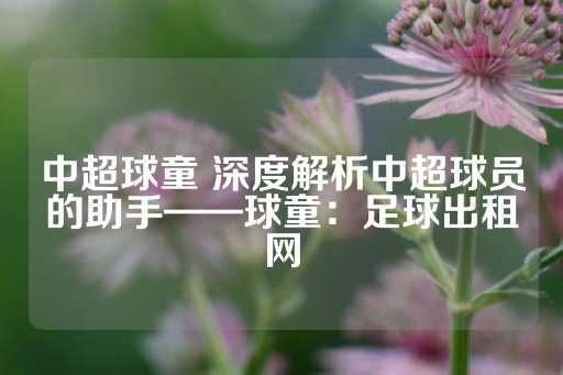 中超球童 深度解析中超球员的助手——球童：足球出租网