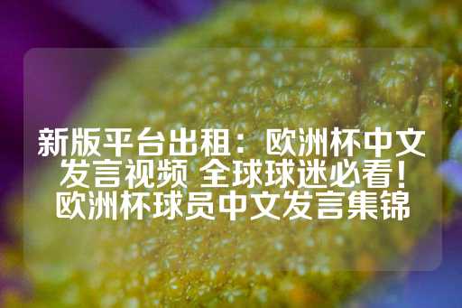 新版平台出租：欧洲杯中文发言视频 全球球迷必看！欧洲杯球员中文发言集锦