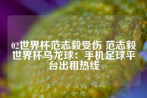 02世界杯范志毅受伤 范志毅世界杯乌龙球：手机足球平台出租热线