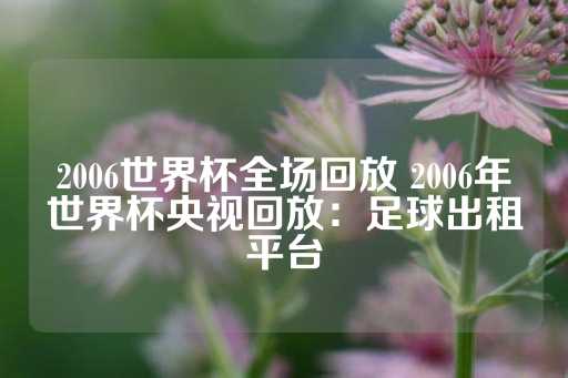 2006世界杯全场回放 2006年世界杯央视回放：足球出租平台