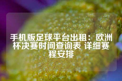 手机版足球平台出租：欧洲杯决赛时间查询表 详细赛程安排-第1张图片-皇冠信用盘出租