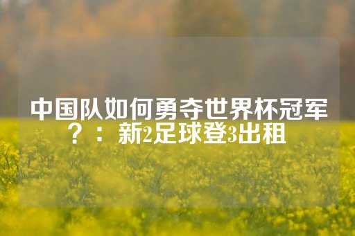 中国队如何勇夺世界杯冠军？：新2足球登3出租-第1张图片-皇冠信用盘出租