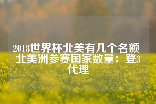 2018世界杯北美有几个名额 北美洲参赛国家数量：登3代理-第1张图片-皇冠信用盘出租