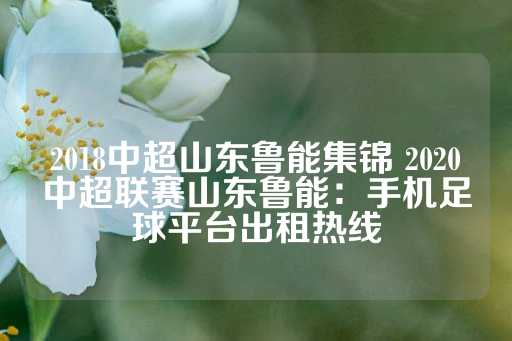 2018中超山东鲁能集锦 2020中超联赛山东鲁能：手机足球平台出租热线-第1张图片-皇冠信用盘出租