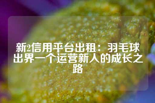 新2信用平台出租：羽毛球出界一个运营新人的成长之路