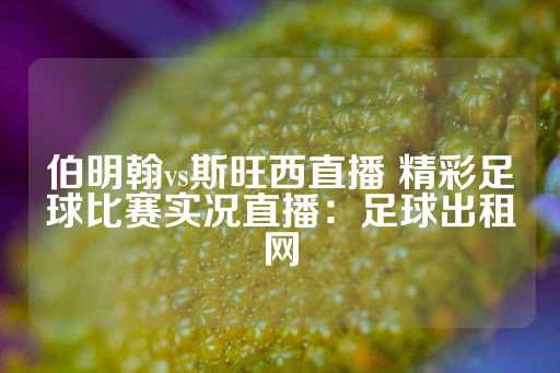 伯明翰vs斯旺西直播 精彩足球比赛实况直播：足球出租网